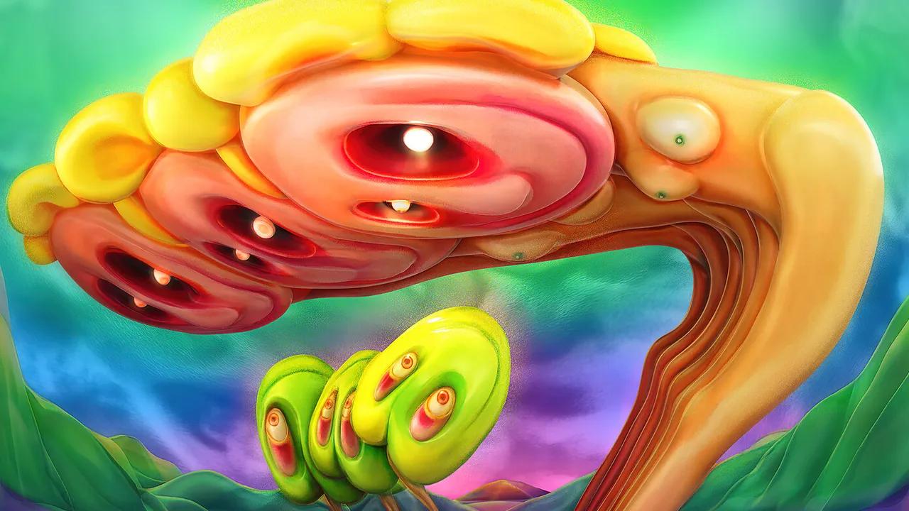 Spalarkle - felicita