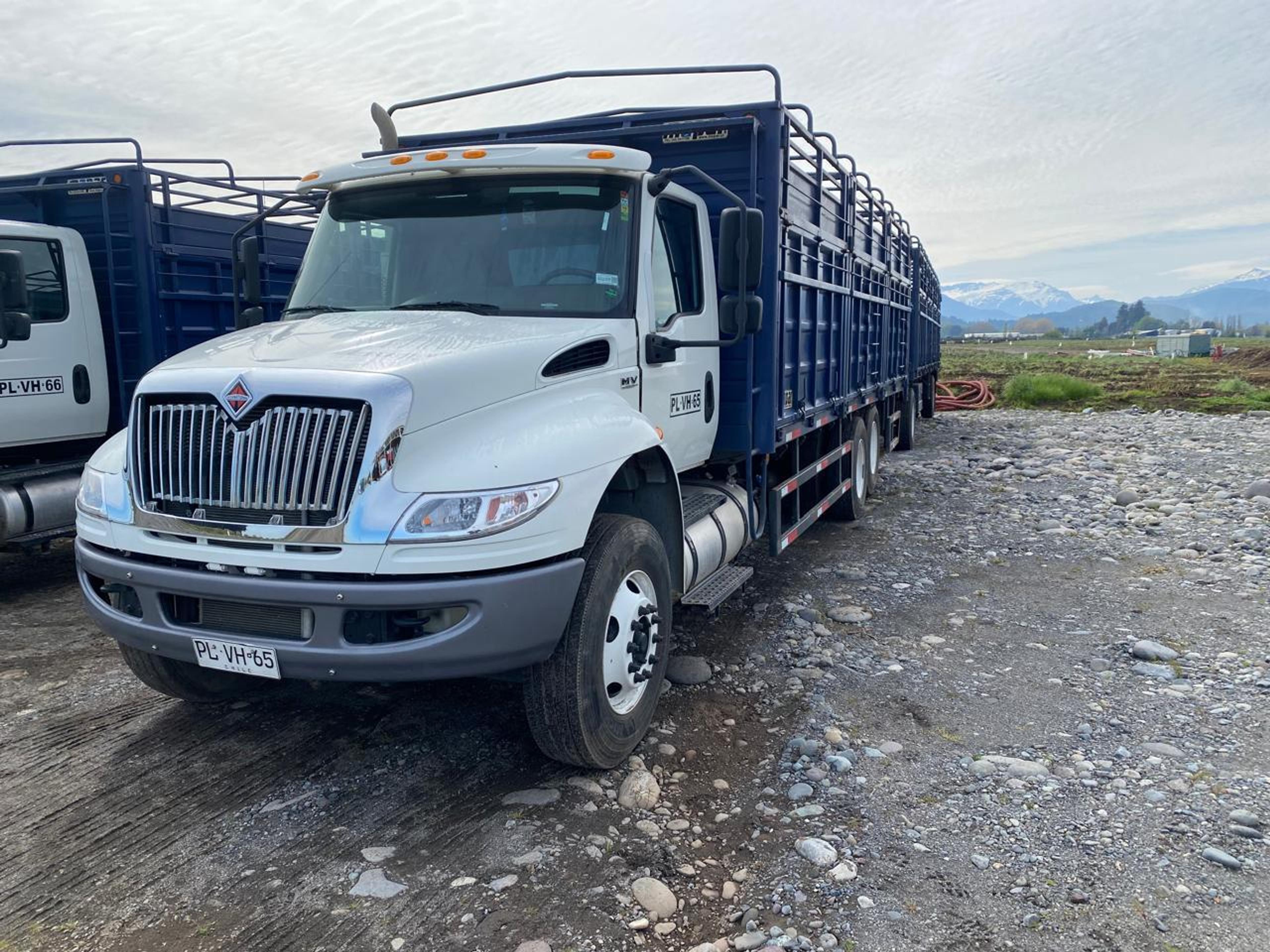 Internacional MV 607 