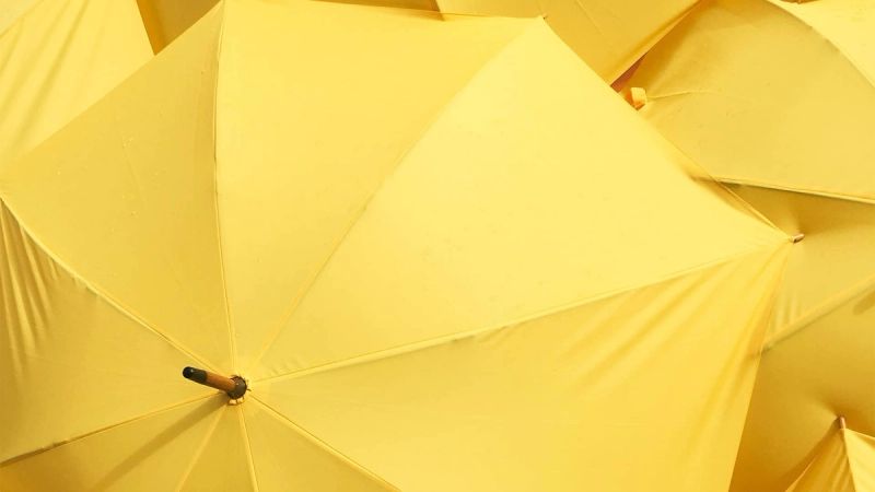 Flottenversicherung: Preise, Vergleiche und Tipps zur Versicherungswahl