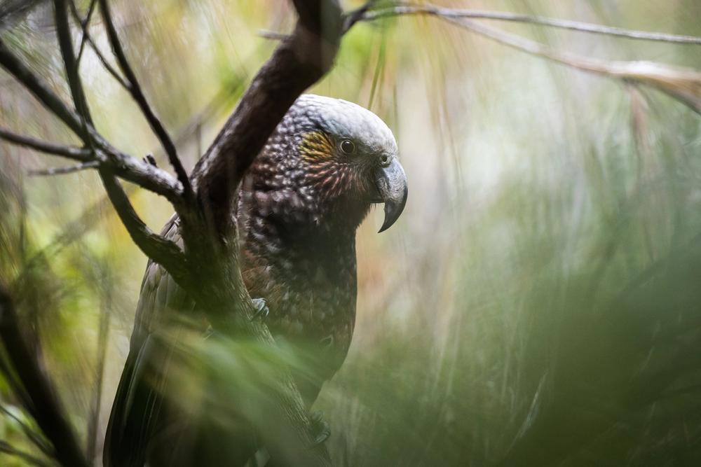 Event Recap | Helping you meet the Climate-Related Disclosures Event Recap | Helping you meet the Climate-Related Disclosures