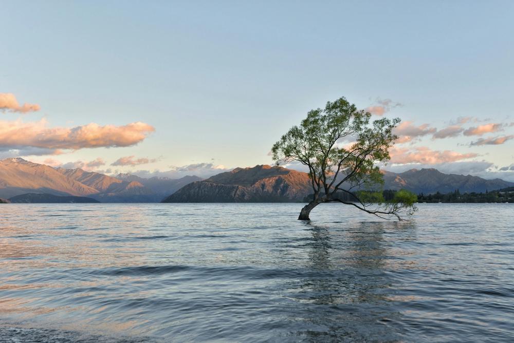 Wanaka, New Zealand Wanaka, New Zealand