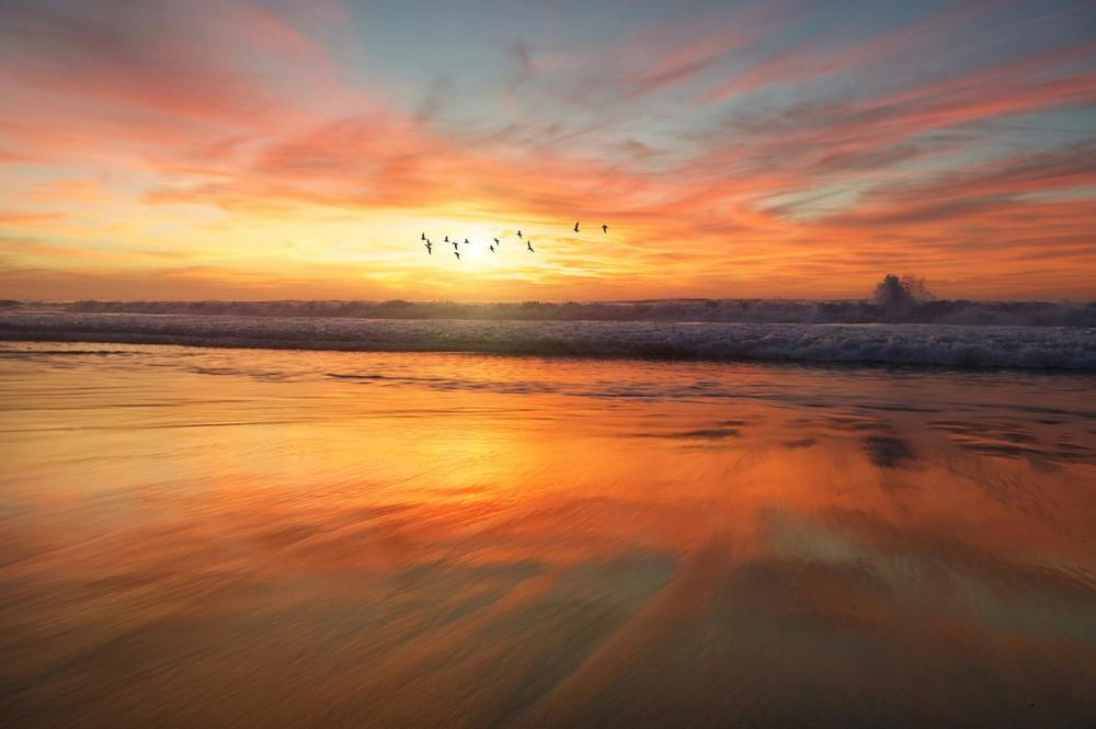 New Zealand Beach at Sunset New Zealand Beach at Sunset