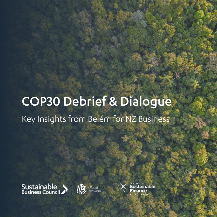 Birdseye view of forest background with title reading cop30 debrief and dialogue