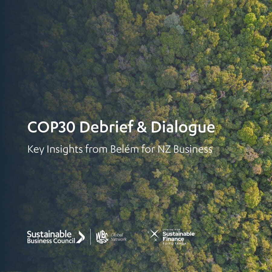 Birdseye view of forest background with title reading cop30 debrief and dialogue Birdseye view of forest background with title reading cop30 debrief and dialogue