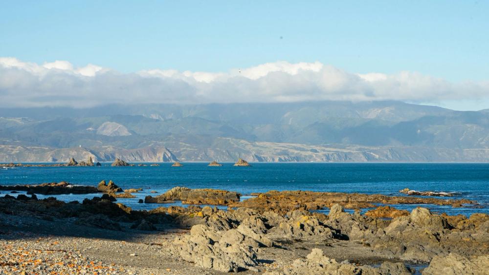 Beach in Wellington New Zealand