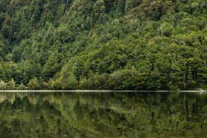 Adaptation starts local - Nature at the heart of adaptation Adaptation starts local - Nature at the heart of adaptation