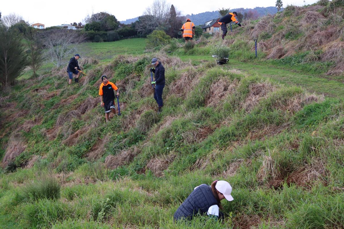 PMG Funds team planting
