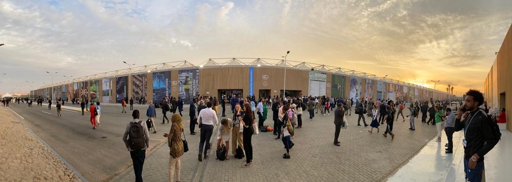COP27 COP27