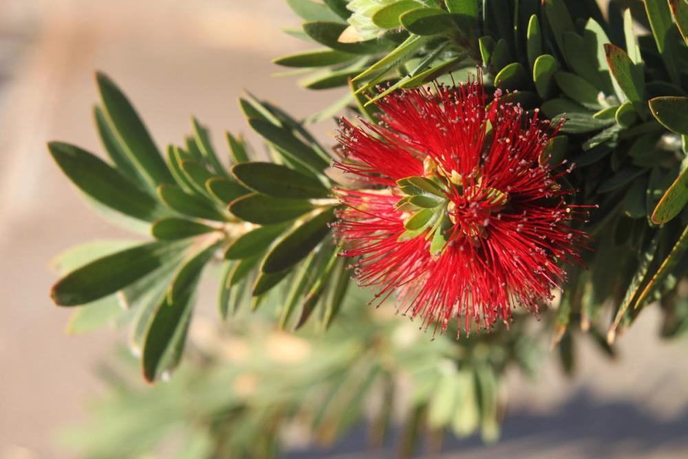 Toitu Image Toitu Image