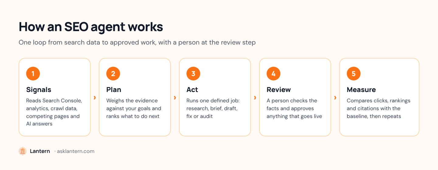 Five-step flow showing how an SEO agent works: it reads signals, makes a plan, acts, hands the work to a person for review, then measures the result and repeats.