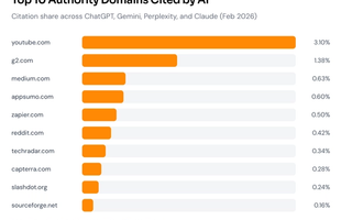 Top 10. domaina cited by AI