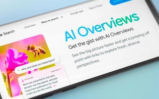 google ai overviews