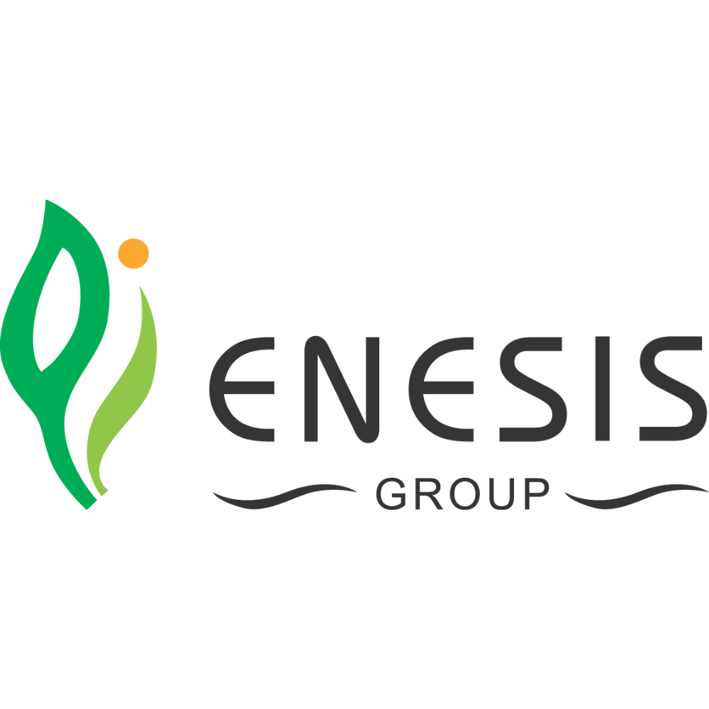 Enesis