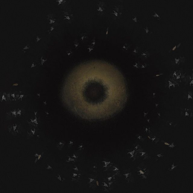 Sundering Of Folded Hands