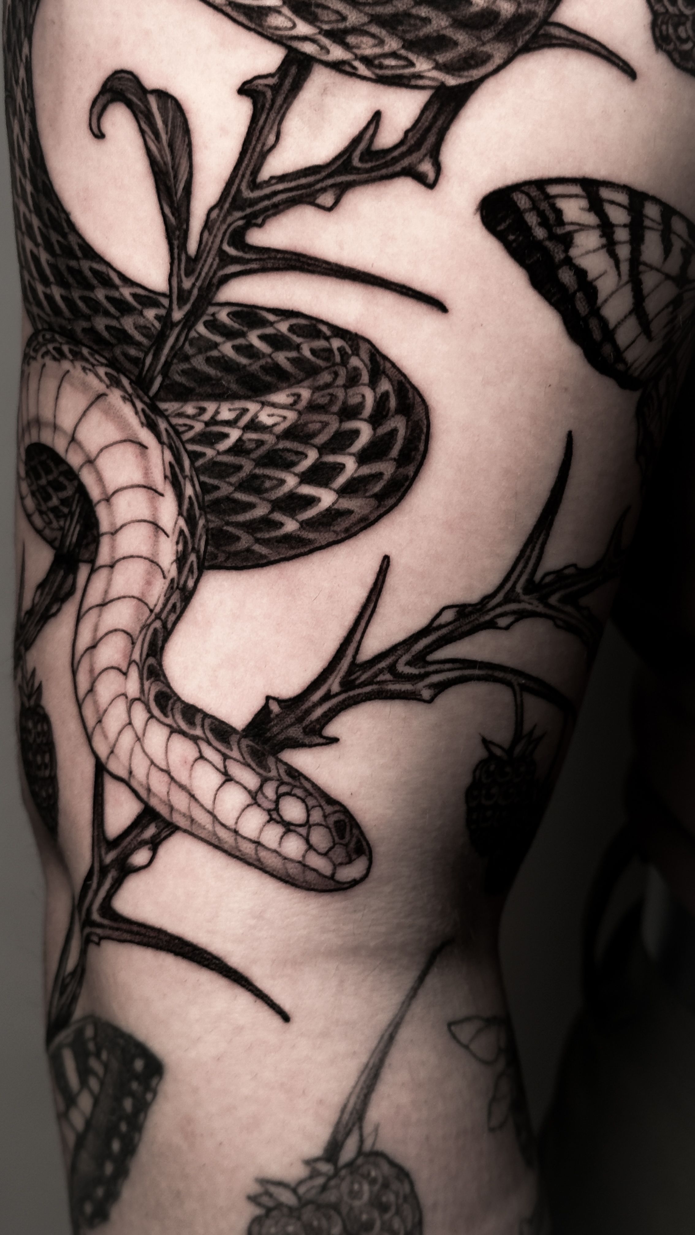serpent tatouage lyon 2 fine line blackwork
