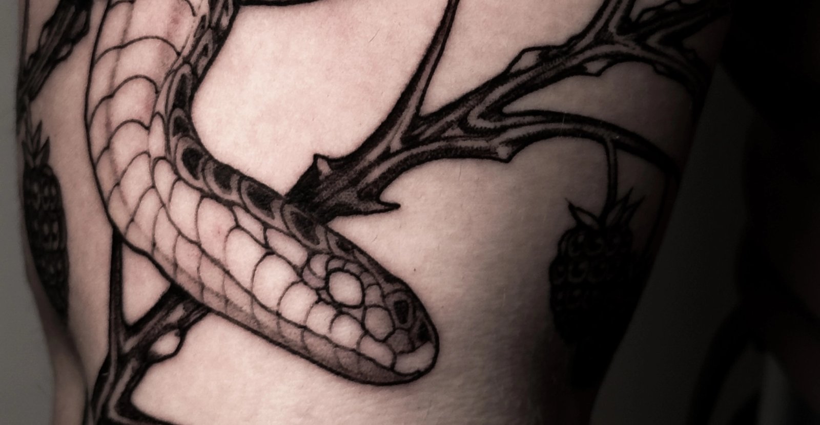 serpent tatouage lyon 2 fine line blackwork