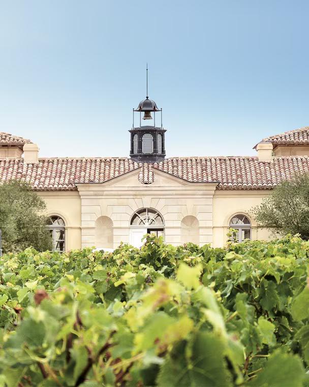 Fine Wine Investment 2026: Where the Market Stands | Cellar Advisor