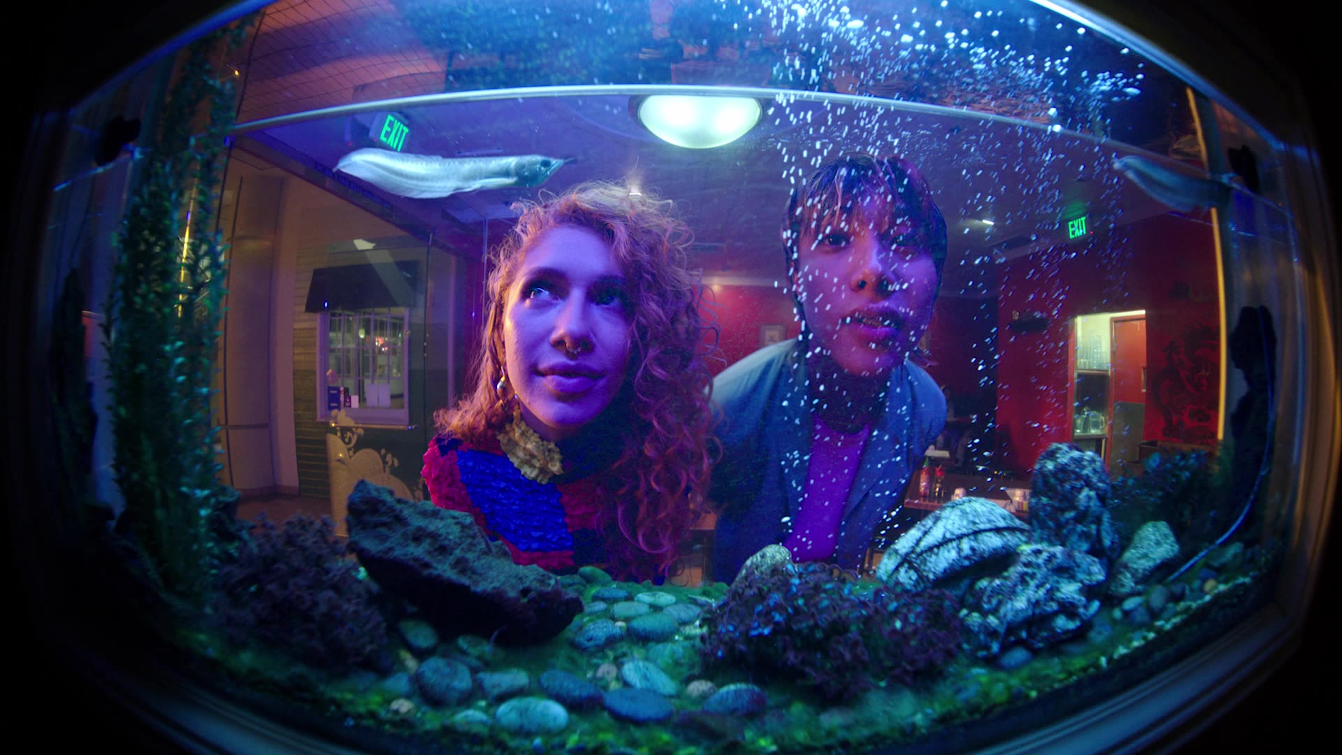 mini-cooper poster image