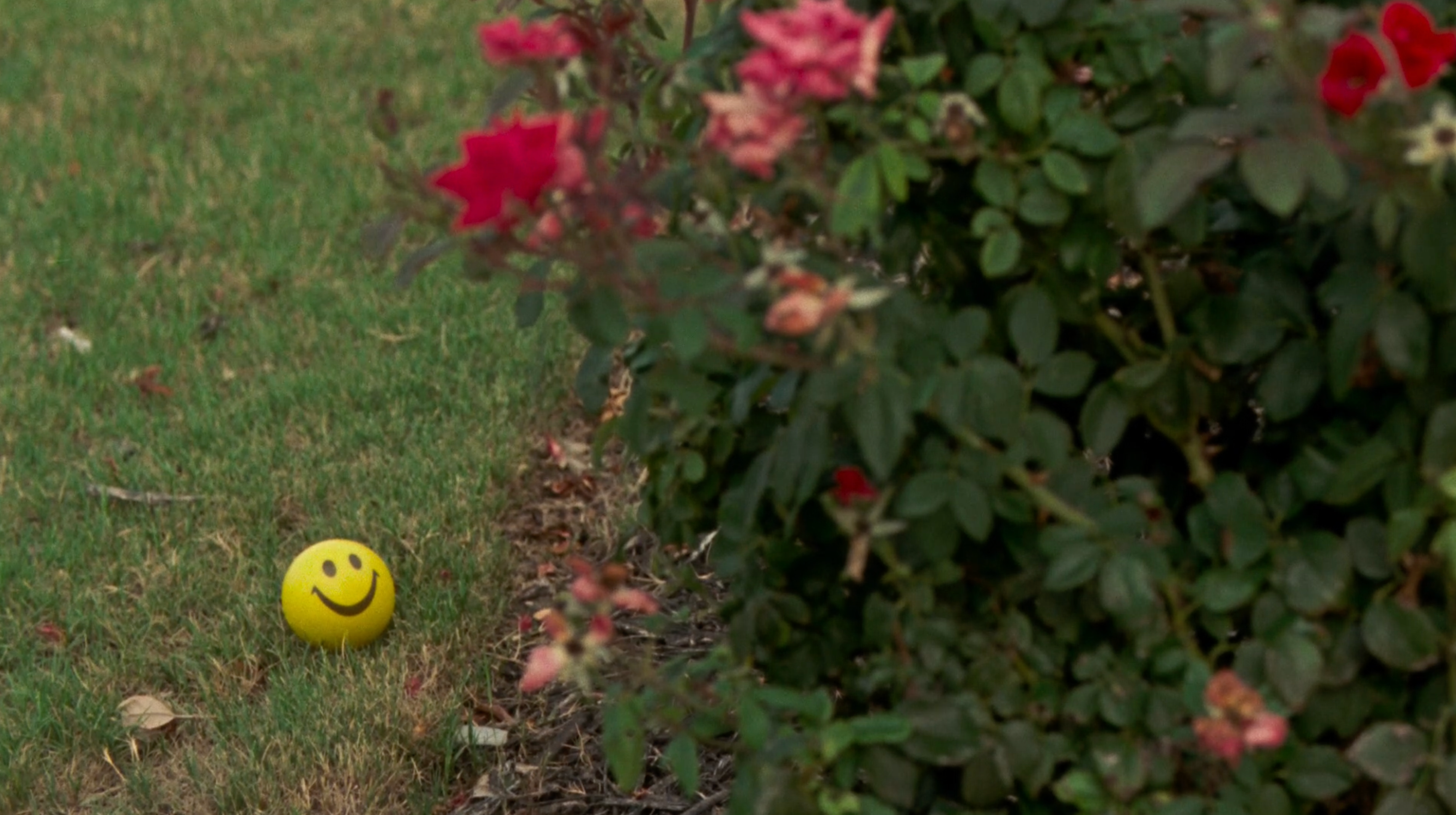 Tricon-Rob poster image