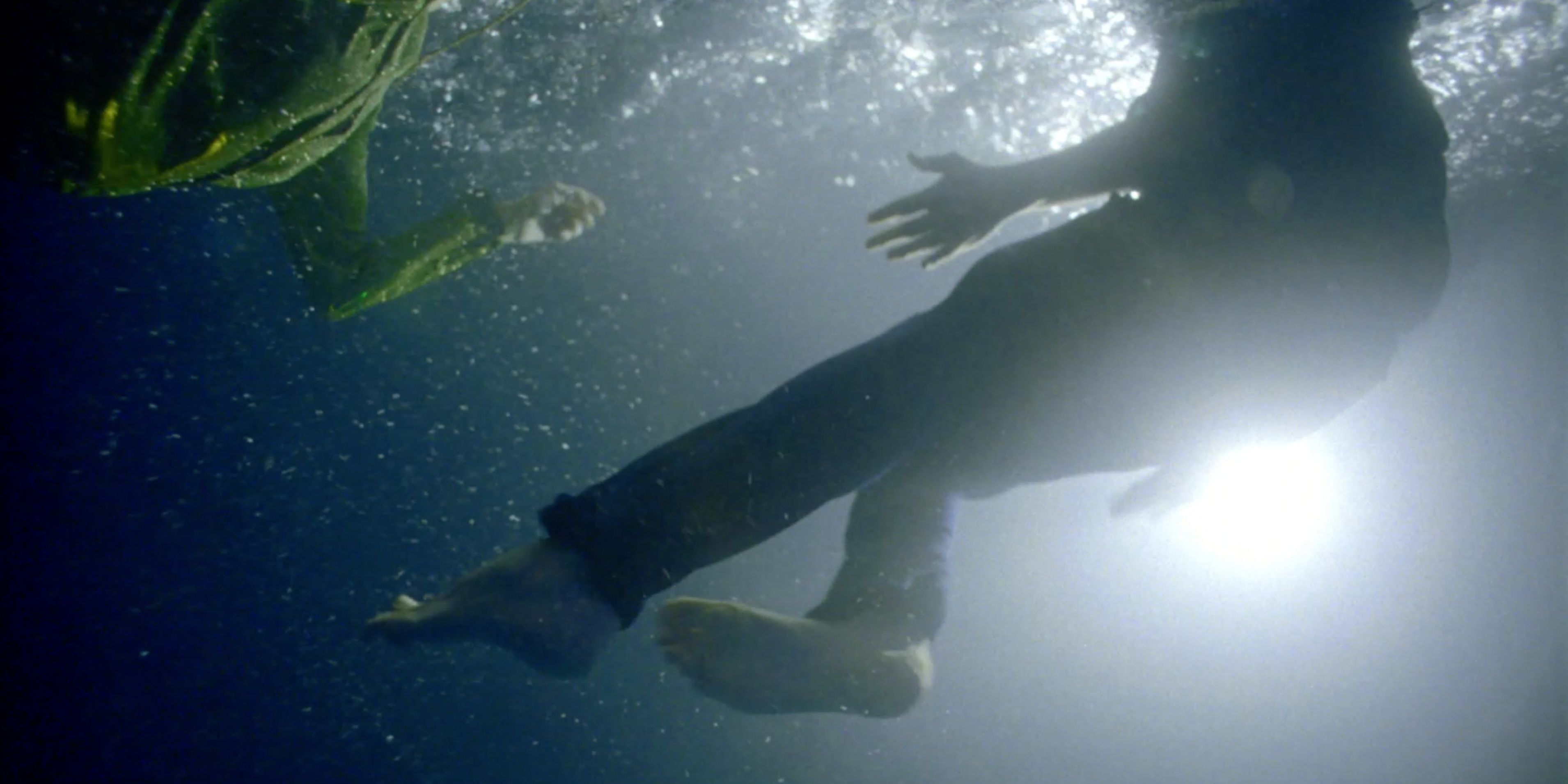 zillow-swim poster image