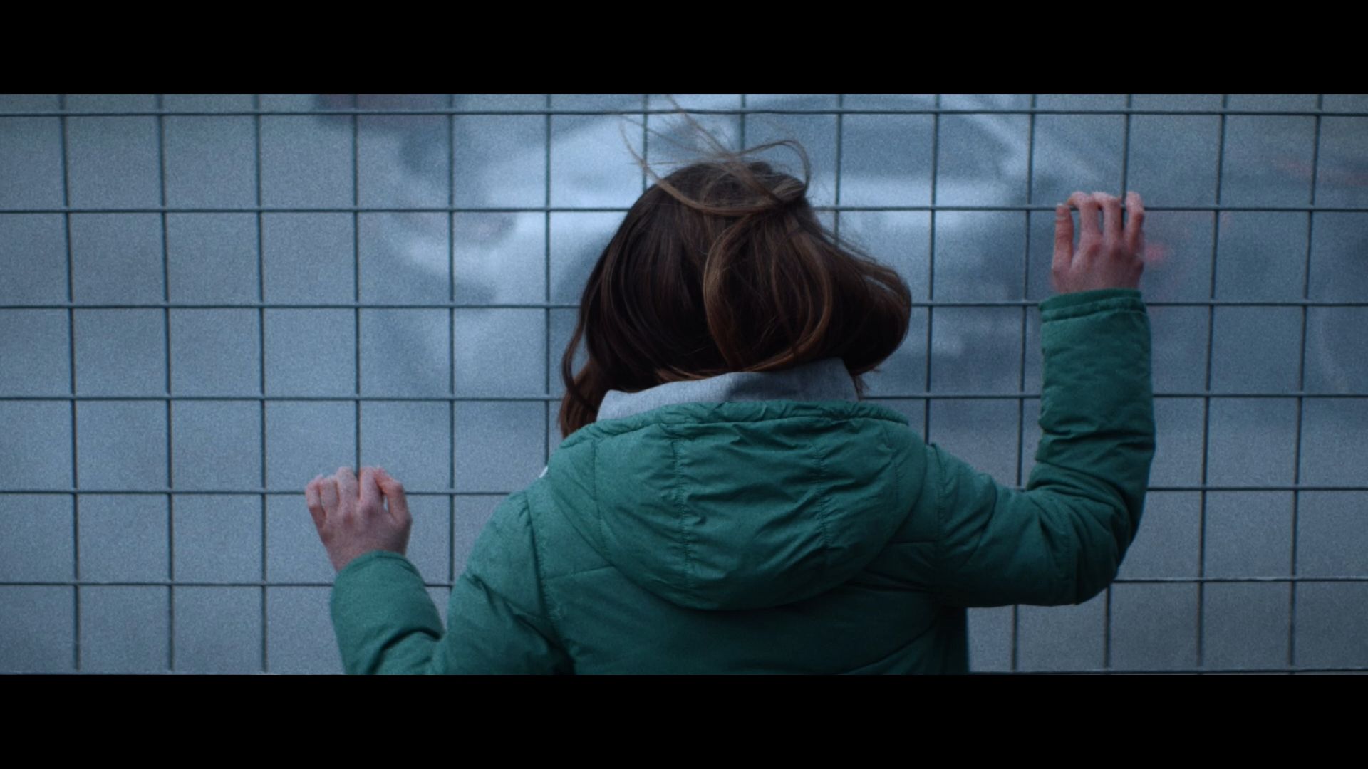 mercedes-benz-amg-motorsports-director-s-cut poster image