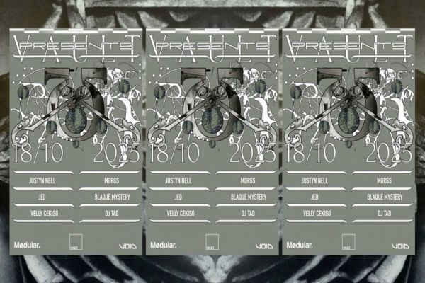 Picture of VAULT  cover image