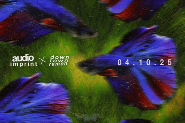 Picture of AUDIO IMPRINT X DTR cover image