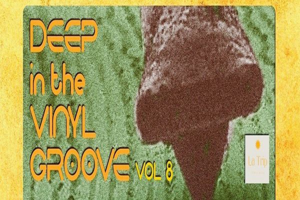 Picture of DEEP IN THE VINYL GROOVE  cover image