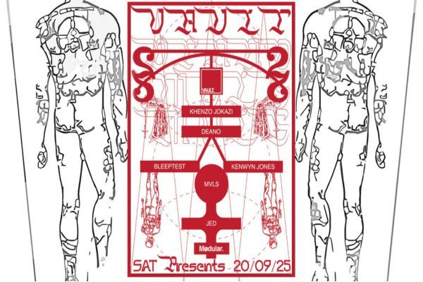Picture of VAULT cover image