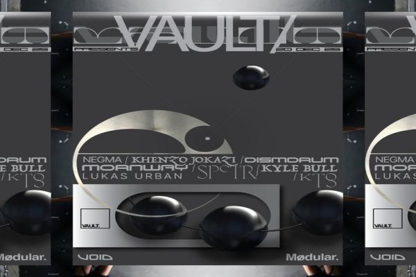 Picture of VAULT cover image