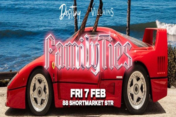 Picture of Family Ties cover image