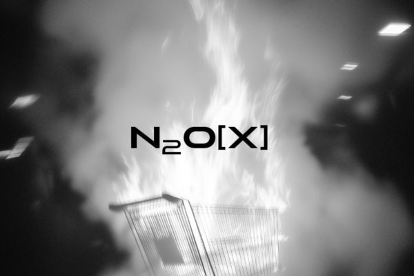Picture of N20[X] cover image
