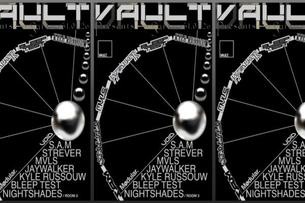 Picture of VAULT cover image