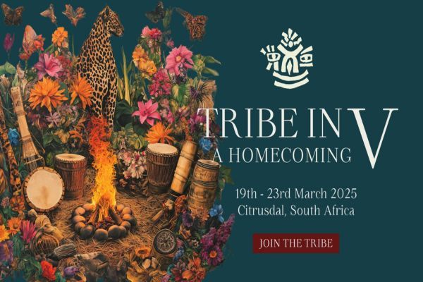 Picture of Tribe In V cover image