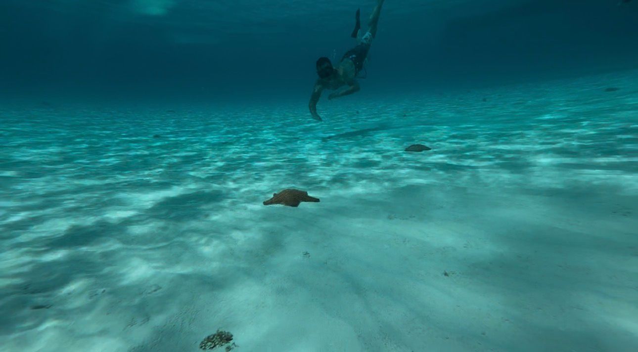 Life Savers on a rack inside the boat