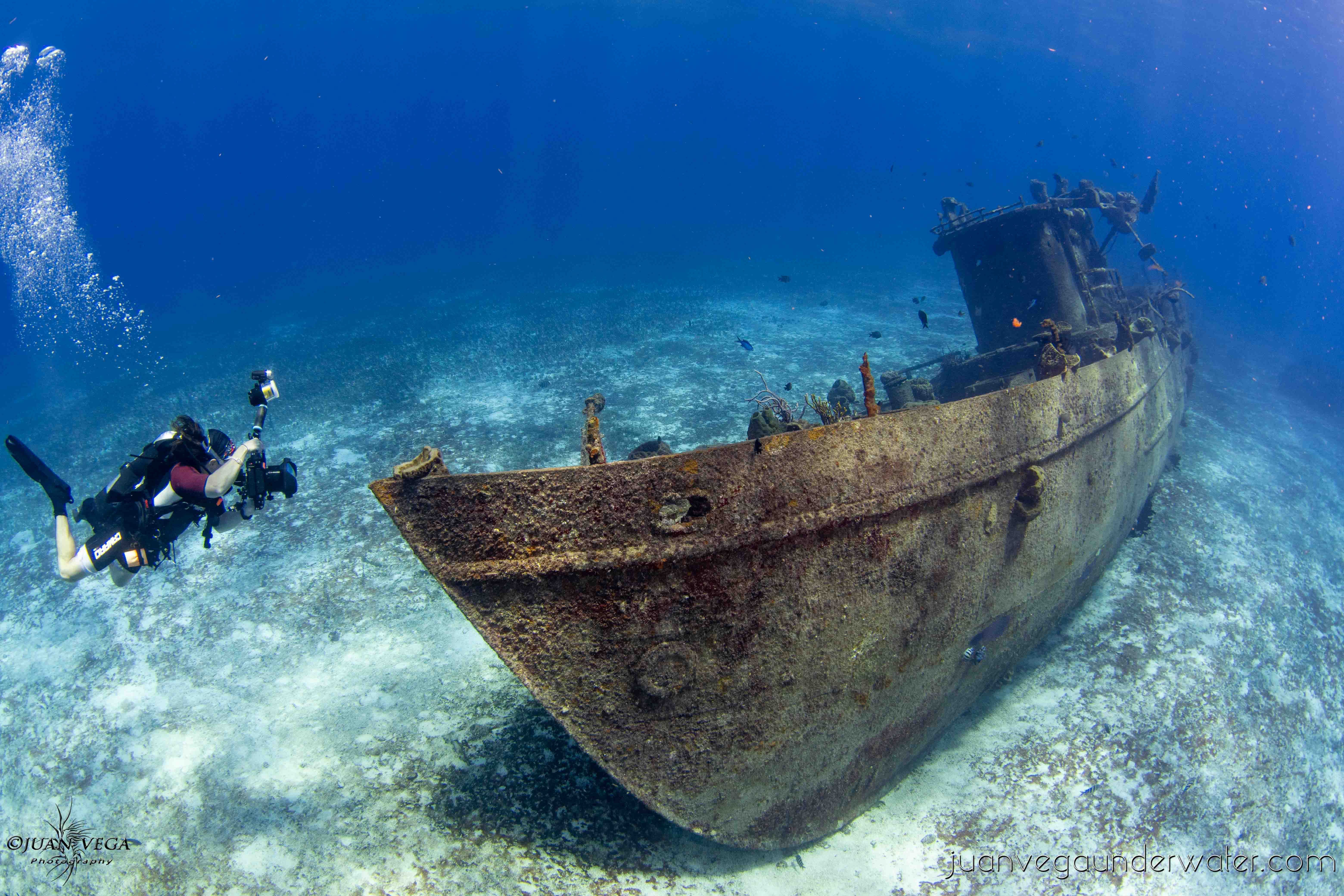 Hammer head dive shop hero section image