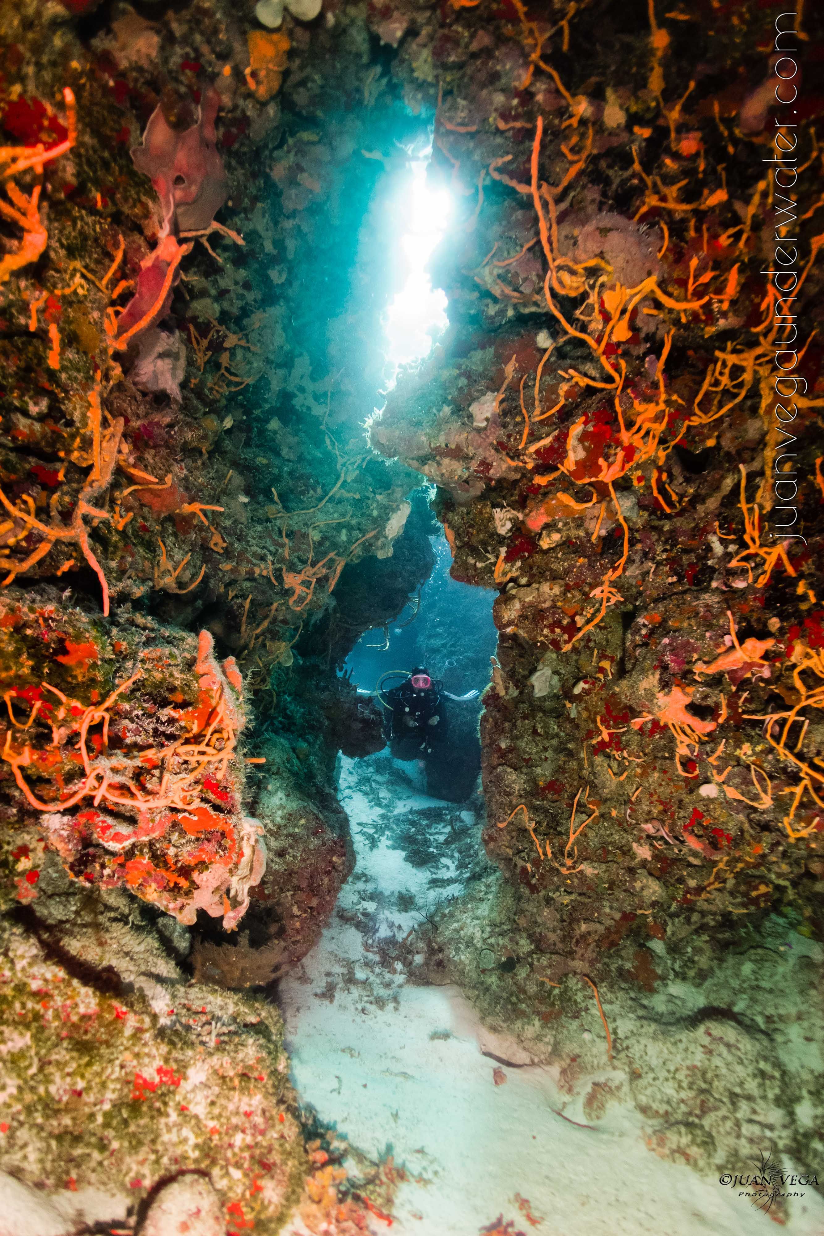 Life Savers on a rack inside the boat