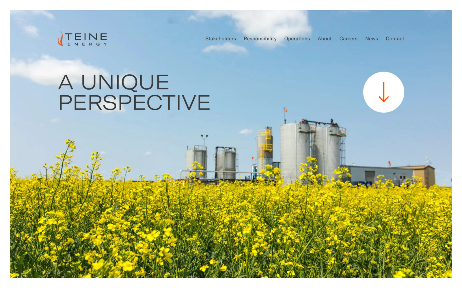Teine Energy homepage on desktop, with the headline A Unique Perspective over a canola field in front of an energy facility.