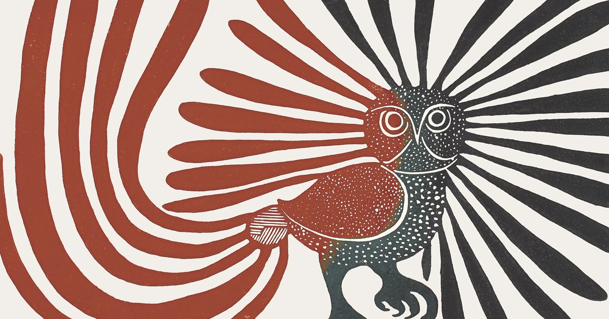 The Enchanted Owl by Kenojuak Ashevak – Study Guide | TVO Arts