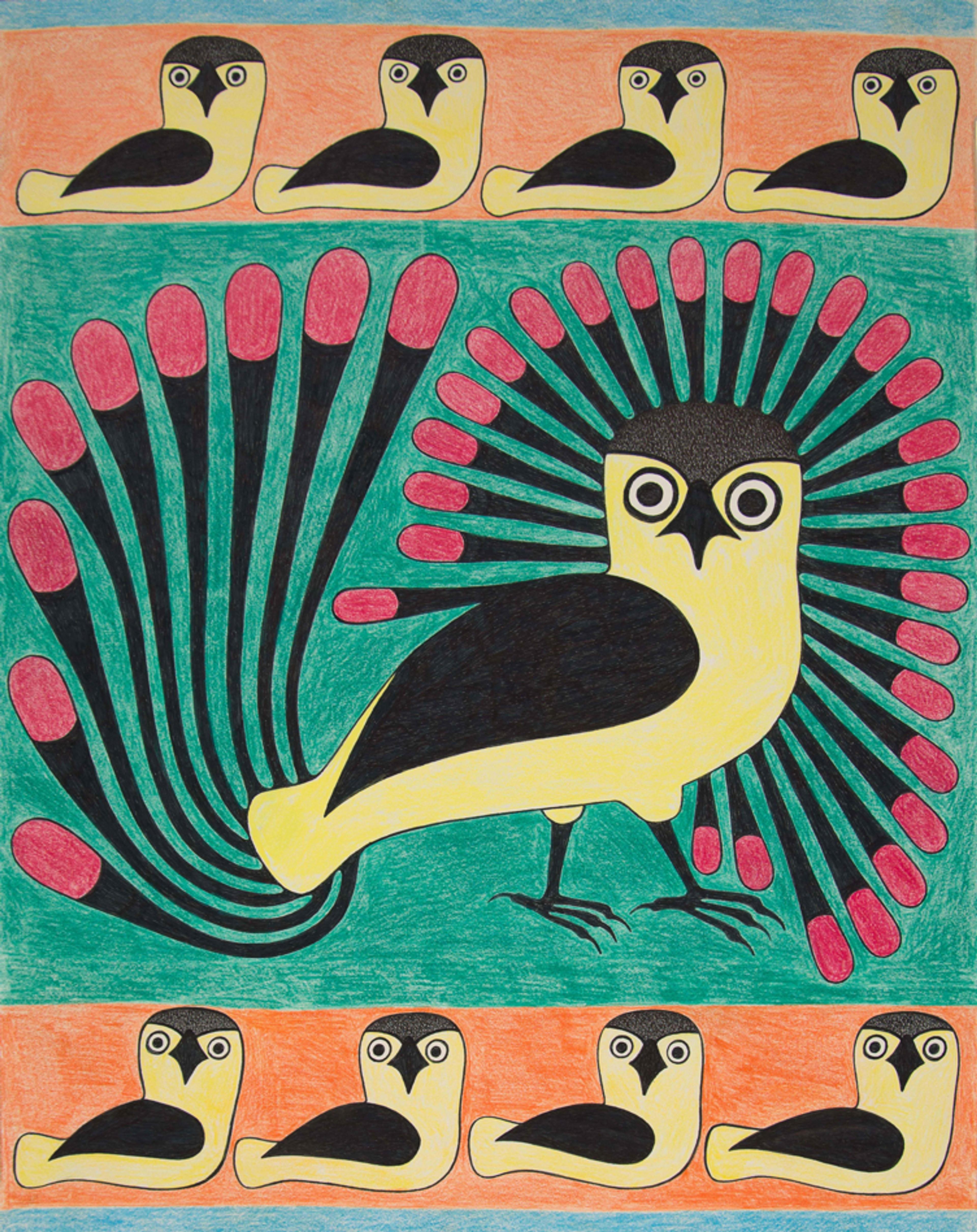 Tapestry of Owls, Kenojuak Ashevak, 1999-2002, ballpoint pen, felt tip pen, coloured pencil.