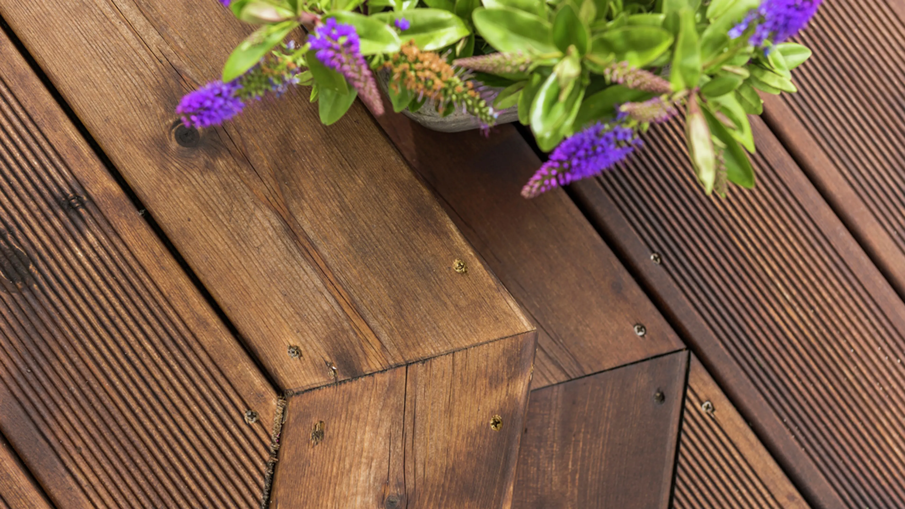 Brune DUO vedlikeholdsfrie terrassebord og plante med lilla blomster i potte.