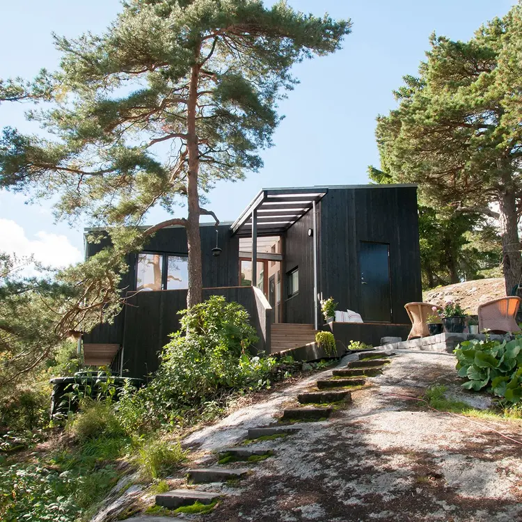 svartbeiset hytte i skogen med dobbelfals tett kledning