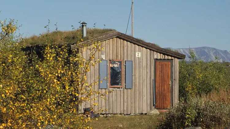 Trehytte på høsten mellom trær og skoglandskap.