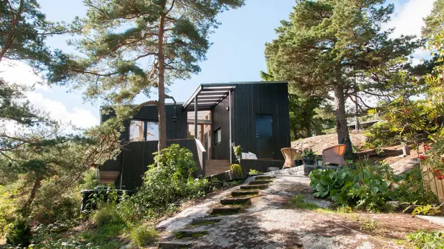 svartbeiset hytte i skogen med dobbelfals tett kledning