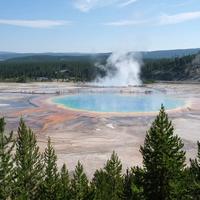 On our first hike of Yellowstone, we start at an overlook of the Grand Prismatic. Varying temperatures along the edge of the spring give home to different-colored bacteria.