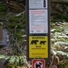 Avalanche Lake is rated A+ for Grizzly sightings! We hike with bear spray. Kristin and I keep a persistent game of 20 Questions playing to warn any upcoming wildlife of our presence.