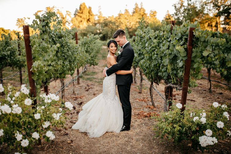Bride and groom embracing between the rows of a vineyard at sunset