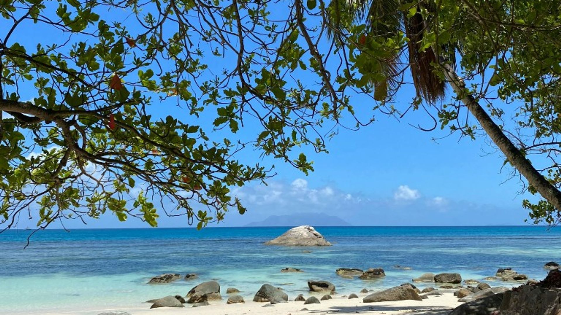 Site background