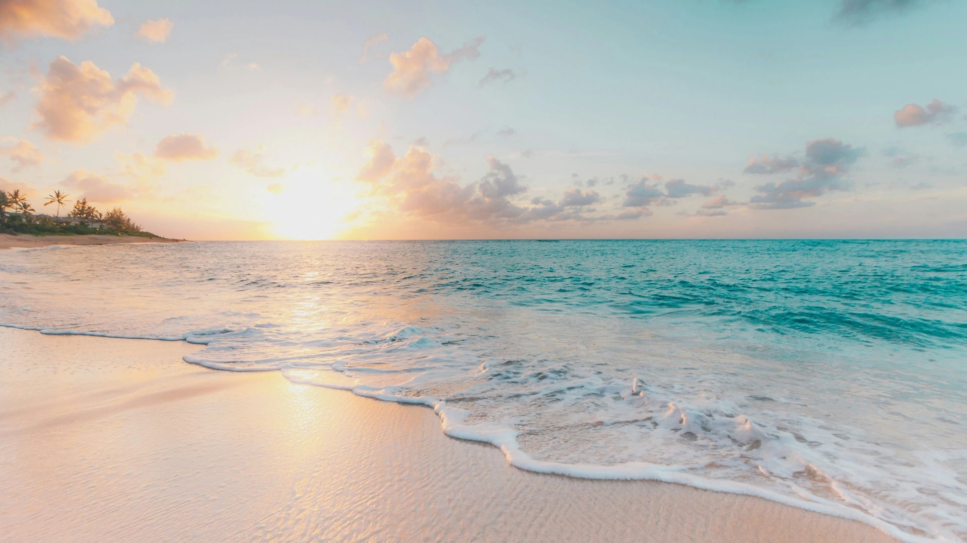 Site background