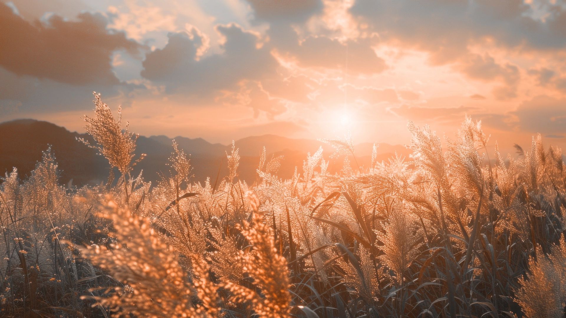Site background